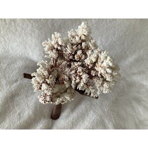 Vintage Acropora Tabletop Coral Large Piece Beautiful Decorative Sea Life Marine